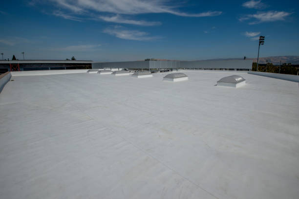 Best Roof Moss and Algae Removal  in West Salem, OH