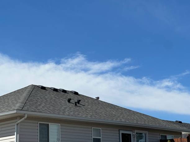 Best Asphalt Shingle Roofing  in West Salem, OH